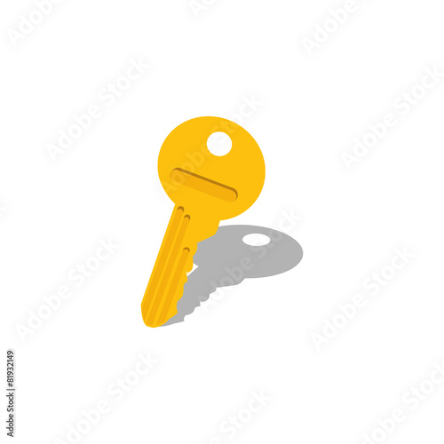 Detail vector key illustration