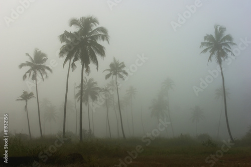 fog in Goa