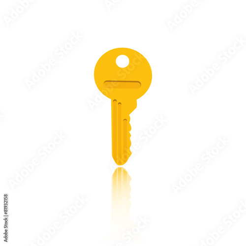 Detail vector key illustration