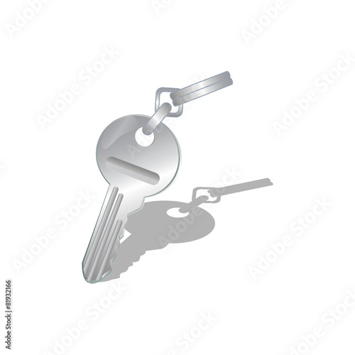 Detail vector key illustration