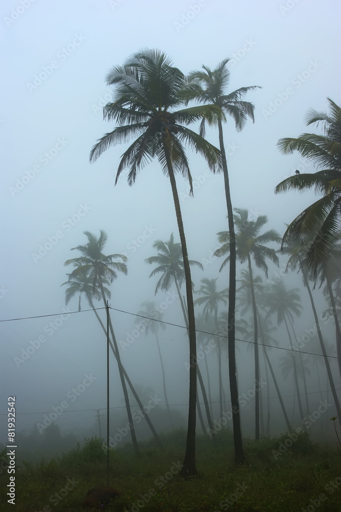 fog in Goa