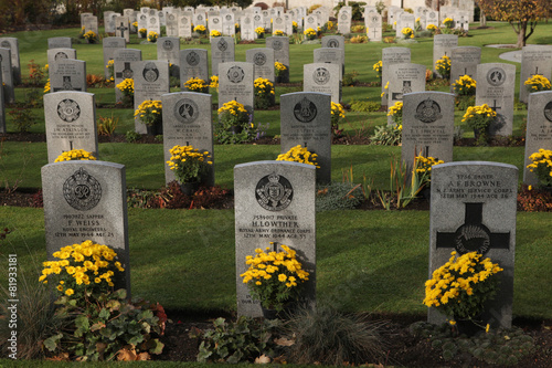 Fotografia, Obraz Commonwealth War Cemetery in Prague, Czech Republic.