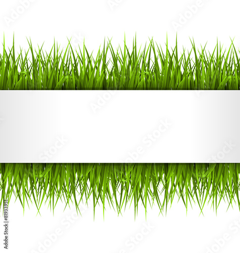 Green grass with frame isolated on white. Floral eco nature back