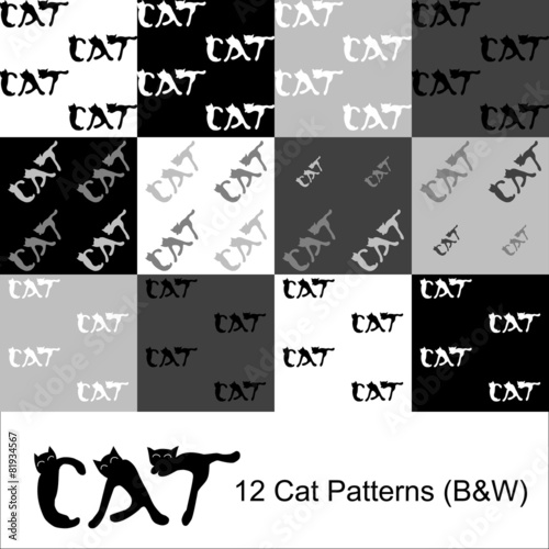 12 Cat Patterns BW