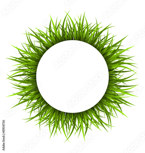 Circle frame with green grass. Floral nature background