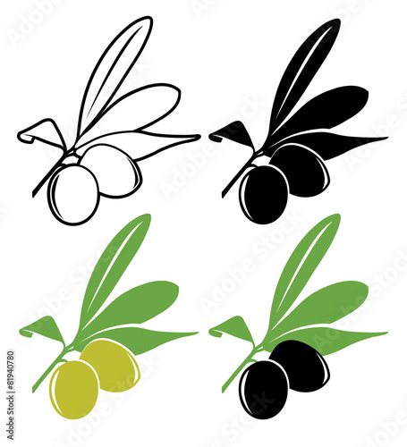 Vector olives in color and black and white