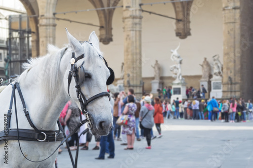horse in Piazza della Signoria photo