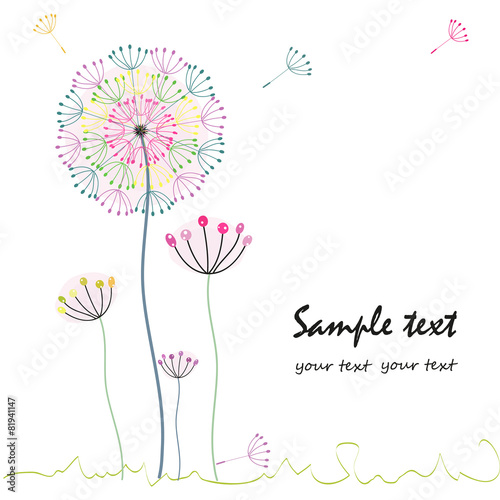 Colorful dandelion flower greeting card vector