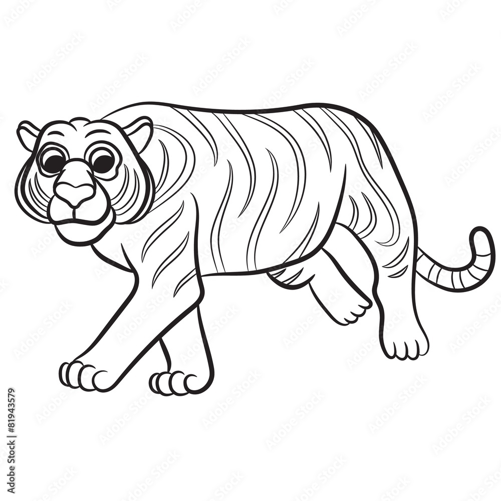 Outlined tiger vector illustration. Isolated on white.