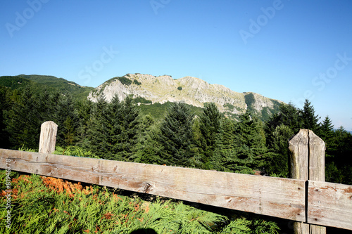 riserva parco nazionale orecchiella appennino tosco emiliano photo