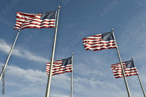 Liberty Park American flags