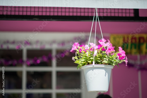 Fototapeta Naklejka Na Ścianę i Meble -  Hanging basket of flowers