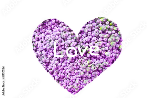 Broccoli incorrect color, draw heart shape
