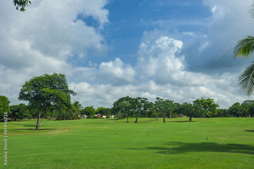 Golf course in Dominican republic. field of grass and coconut