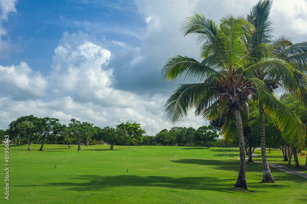 Golf course in Dominican republic. field of grass and coconut
