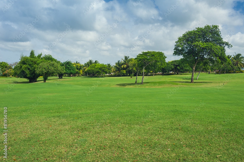 Golf course in Dominican republic. field of grass and coconut