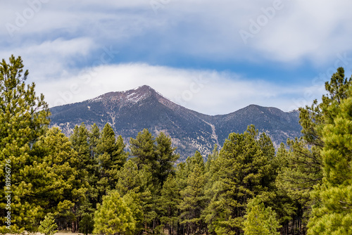 landscape with Humphreys Peak Tallest in Arizona photo