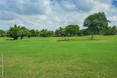 Golf course in Dominican republic. field of grass and coconut © andreiko
