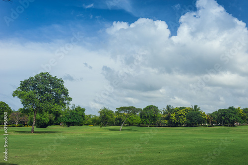 Fototapeta Naklejka Na Ścianę i Meble -  Golf course in Dominican republic. field of grass and coconut