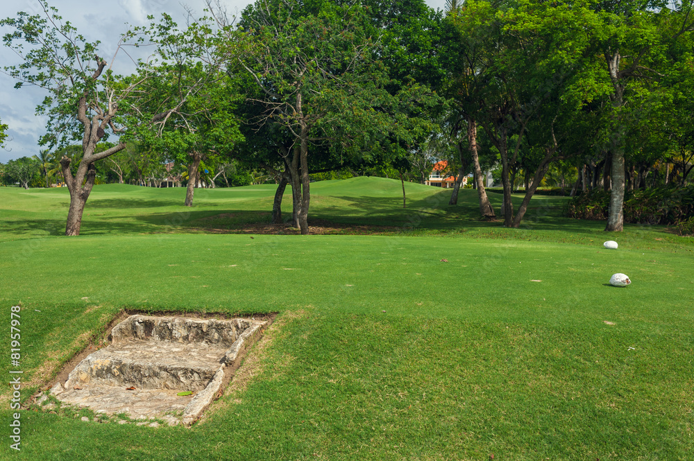 Fototapeta premium Golf course in Dominican republic. field of grass and coconut