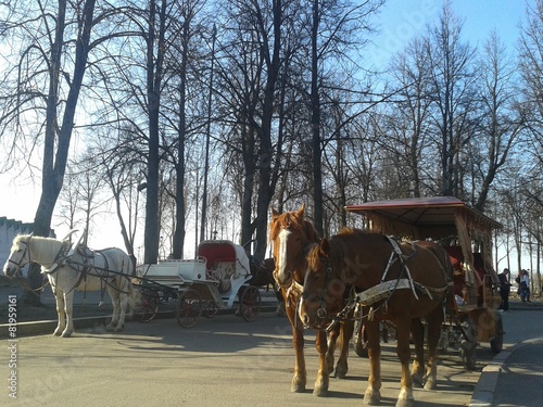 Horseback carriages in the Suzdal