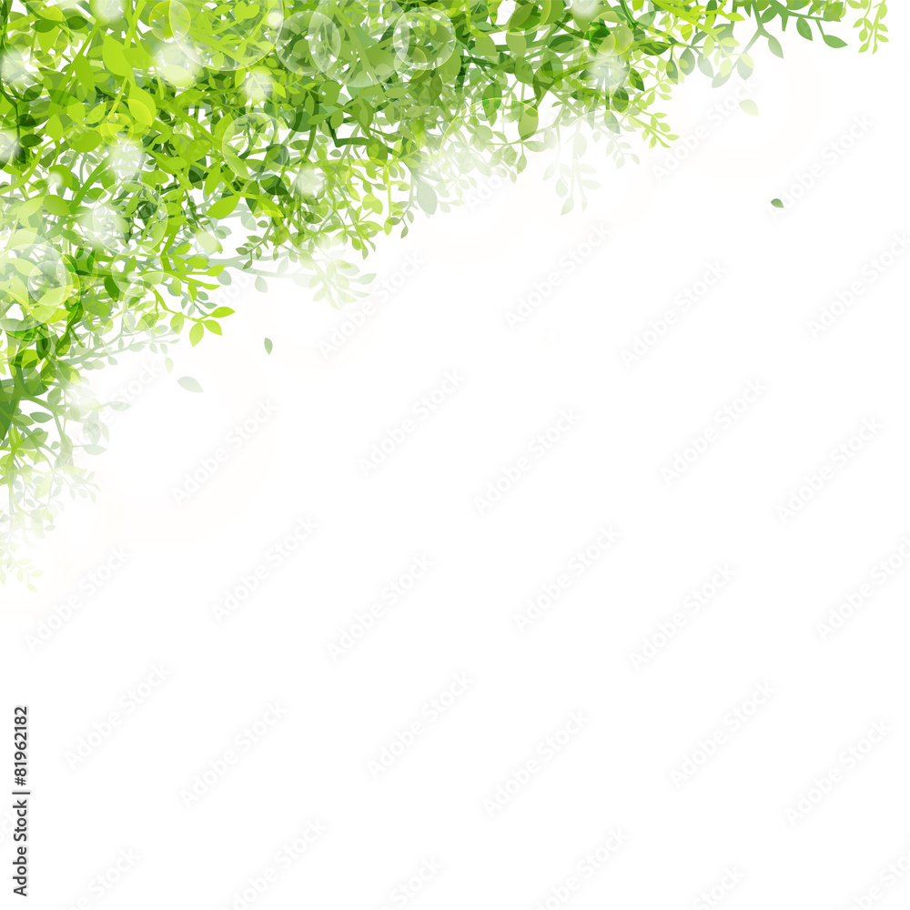 光りと緑の葉　シャボン玉