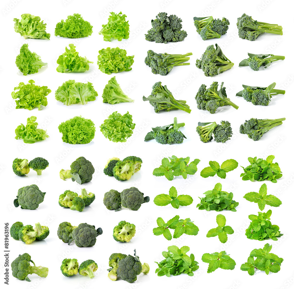 broccoli,green lettuce and mint isolated on white background