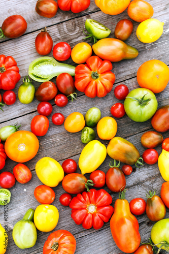 colorful tomatoes