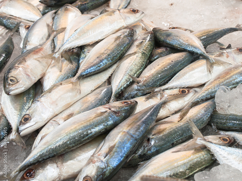 Fresh tuna in the market