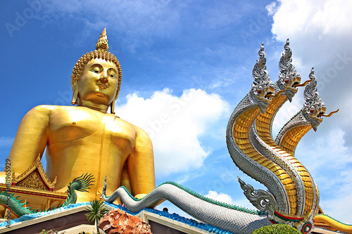Buddha with King of Nagas