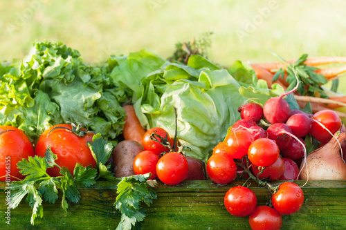 Fototapeta Naklejka Na Ścianę i Meble -  fresh organic vegetables