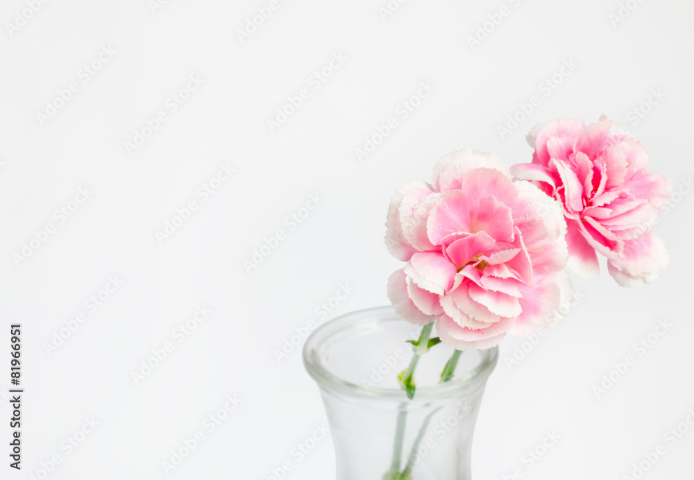 Pink flower in vase with place for text and work path