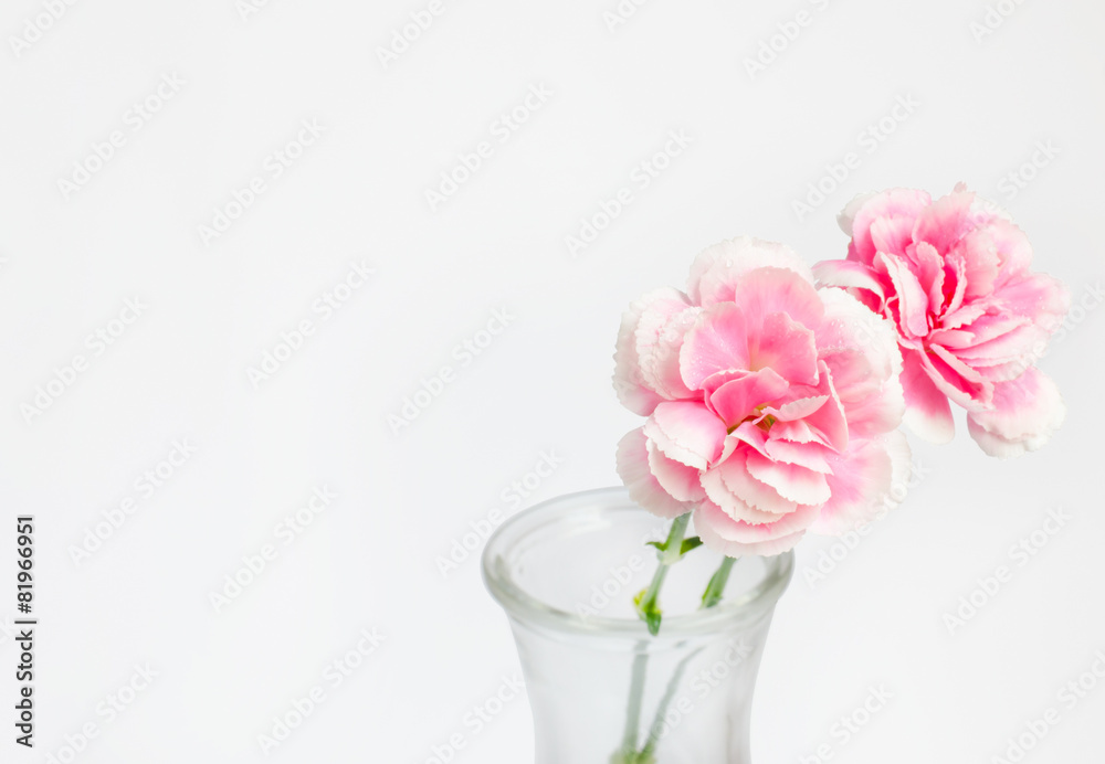 Pink flower in vase with place for text and work path Pink flower in vase with place for text and work path