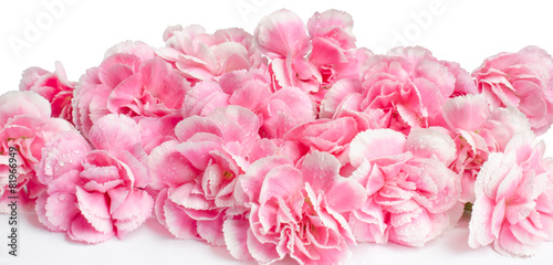 Fototapeta Naklejka Na Ścianę i Meble -  Pink flower on white background