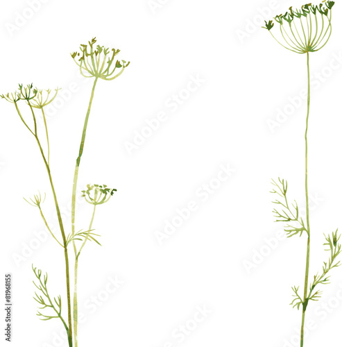 Silhouettes of flowers and grass