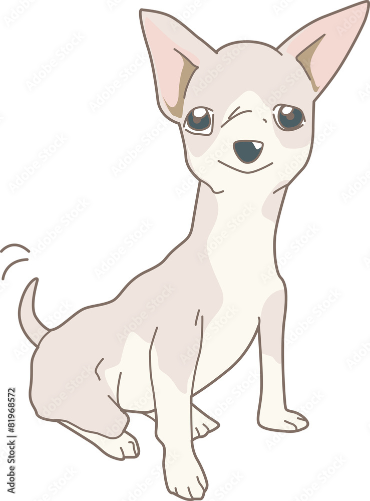 Dog Chihuahua (Real)