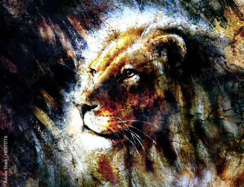 Fotografie lion head with a majesticaly peaceful expression, profile