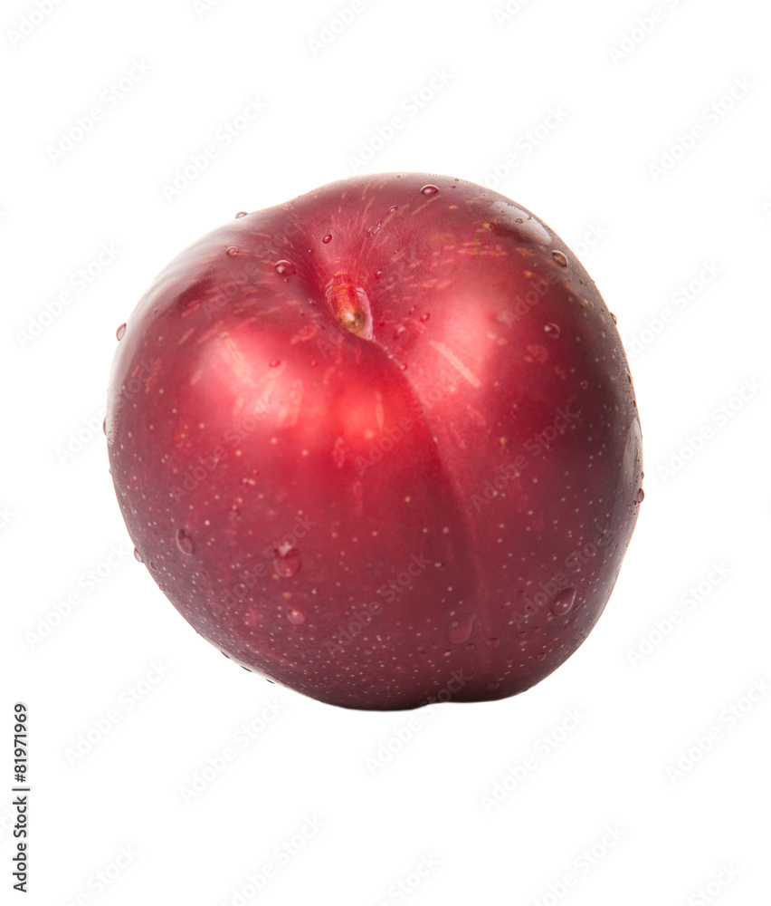 Victoria plum or red plum over white background Victoria plum or red plum over white background