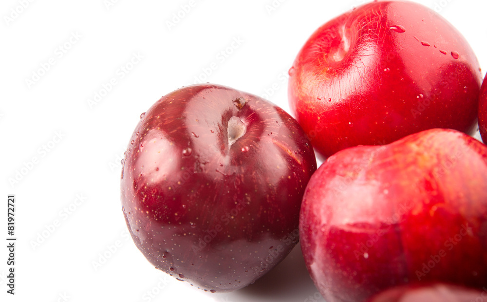 Victoria plum or red plum over white background Victoria plum or red plum over white background