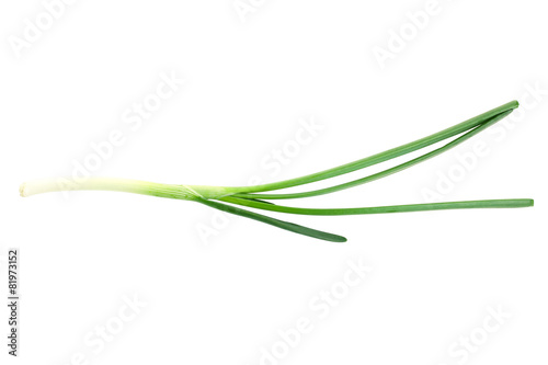 green onion isolated