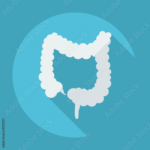 Flat modern design with shadow icons large intestine