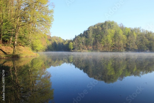 Foggy spring morning on the lake