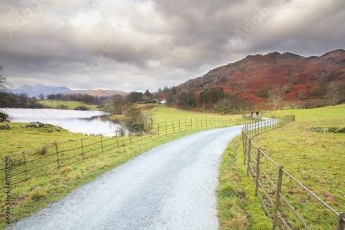country lane in the lakes