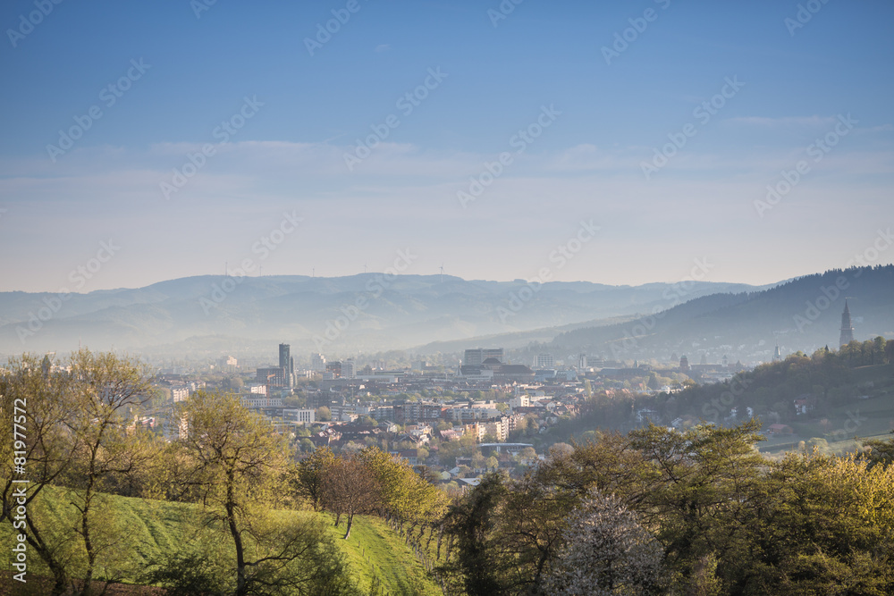 view over Freiburg, Germany