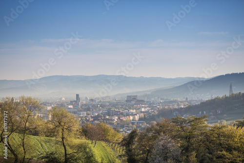 view over Freiburg  Germany