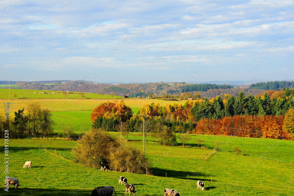 Fototapeta premium kolorowy Eifel jesienią