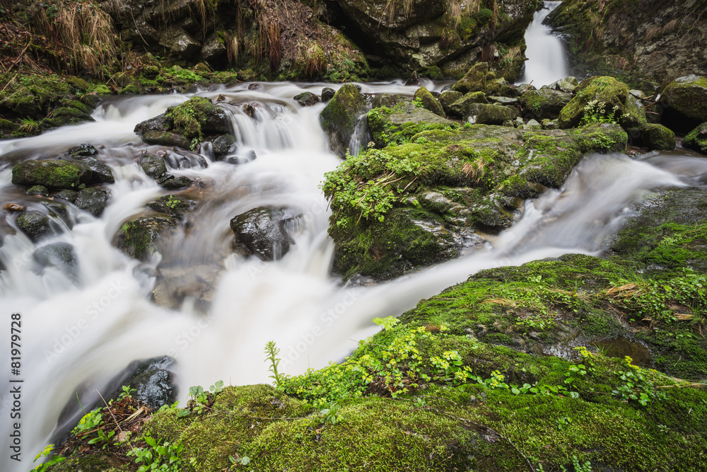 Obraz premium waterfall in back forest, Germany