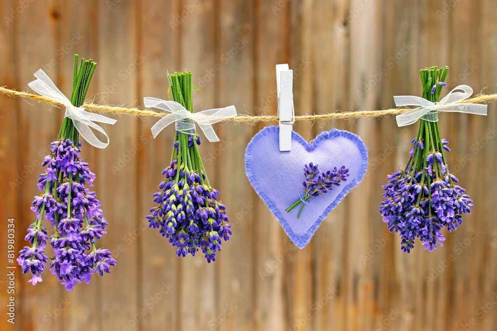 Naklejka premium lavendel