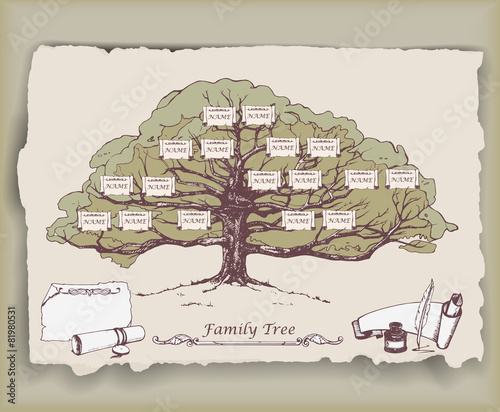 Hand-drawn family tree with decorative elements. Vector
