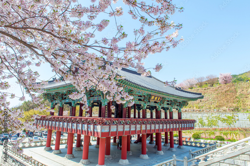 Naklejka premium Gyeongbokgung Palace with cherry blossom in spring,Korea